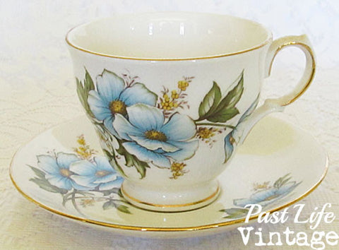 Queen Anne Bone China Cup Saucer Blue Wild Rose #8618 Vintage 1950's England