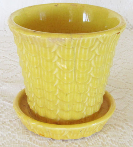 Vintage Yellow Flower Pot Planter 1940s Free Shipping