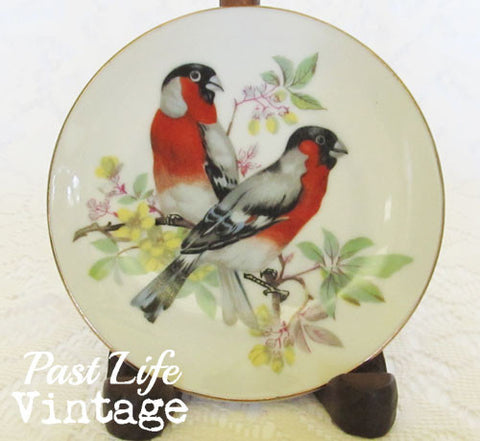 Vintage 1950 UCOG Japan Small Dish Red Birds with Label